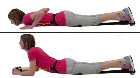 Prone on elbows | Muscle and nerve, Exercise, Posture support