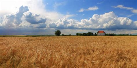 Slavonia and Baranja - top 10 reasons to visit the golden heart of Croatia