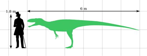 Image: Eustreptospondylus Size Comparison by PaleoGeek