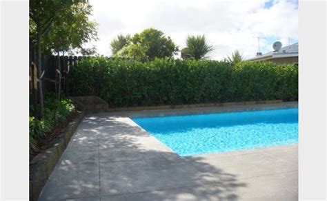 Concrete pool, Pool, Concrete color