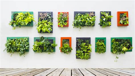 Vertical Gardens - DripWorks