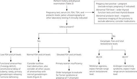 Amenorrhea: An Approach to Diagnosis and Management | AAFP