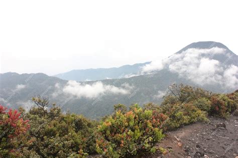 Premium Photo | Pangrango mountain is located in gunung gede pangrango national park indonesia