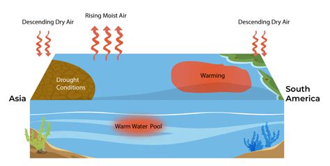 Know about the predicted El Niño Effects on Earth in 2024: