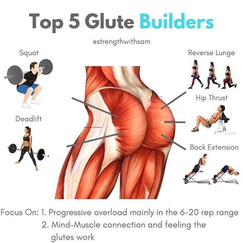 This Workout Targets Your Glutes for a Better Lift And Shapely Lower Body - GymGuider.com ...