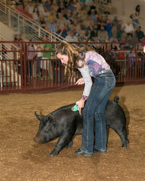 YOUTH LIVESTOCK SHOWS