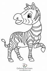 Zebra Coloring Pages FREE 2025  And Learn sketch template