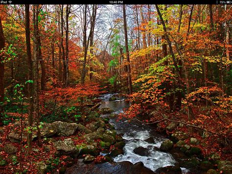 Pin by Cat Grist on Beautiful landscapes | Smoky mountain national park ...