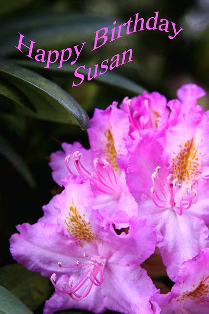 HAPPY BIRTHDAY SUSAN :))))))))))))))) | Flickr - Photo Sharing!