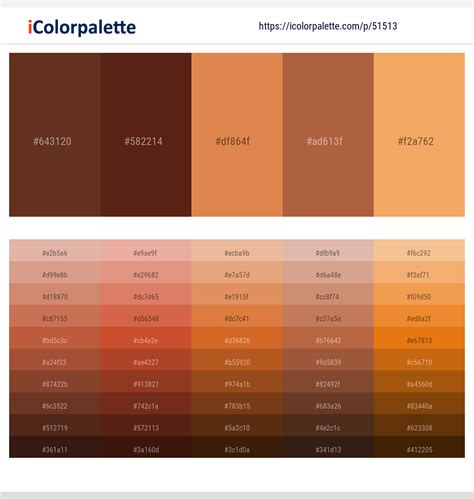 2 Latest Color Schemes with Terracotta And Brown Rust Color tone combinations | 2024 | iColorpalette