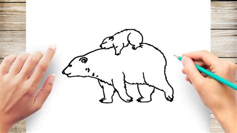 How to Draw Mother And Baby Bear - YouTube