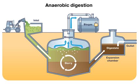 Biodigesters: environmental friend or foe? - Power Knot