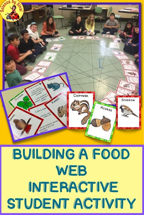 Connectionsq!! Here is a interactive food chain and food web activity ...