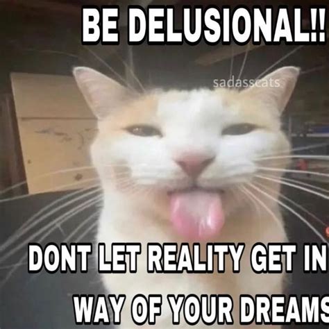 stinky on Instagram: "love being delusional - - - @fatfatmillycat #meme ...