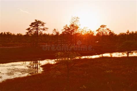 Sunrise Over the Lake with the Reflection of Trees in the Water. Stock Image - Image of mist ...