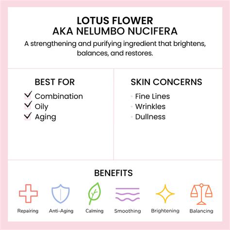 Ingredient 101: Lotus Flower