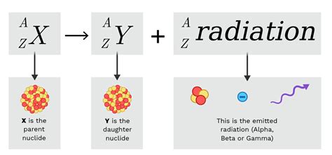 Gamma Decay Equation