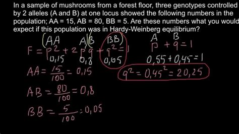 Genetic Equilibrium Examples