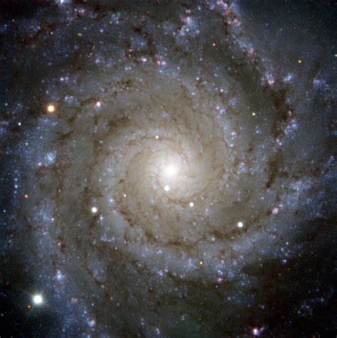 Messier 74: Phantom Galaxy | Messier Objects