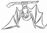 Realistic Bat Coloring Pages sketch template