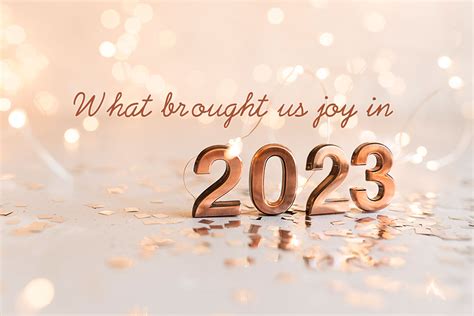 What brought us joy in 2023 | HPH Solutions