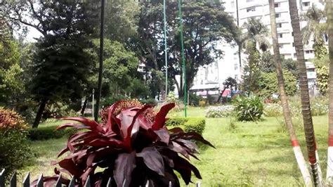 Dhaka College Campus-The Most Beautiful College Campus - YouTube