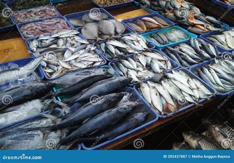 Fish Market in Jakarta stock image. Image of meat, seafood - 202437887