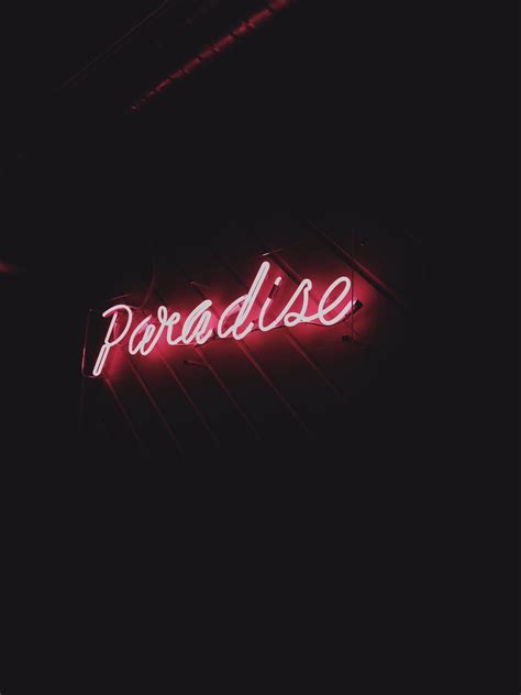 🌸paradise🌸 | Neon signs, Neon, Neon lighting