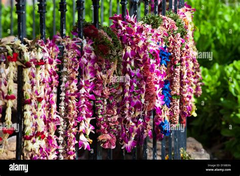 Hawaii Hawaiian lei garland Stock Photo - Alamy