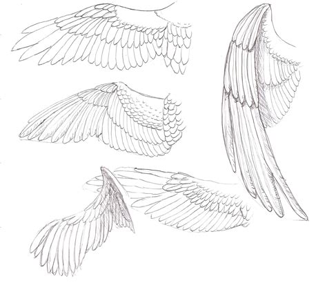 Eagle Wings Sketch at PaintingValley.com | Explore collection of Eagle ...