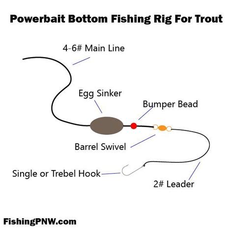 A guide to bottom fishing for trout in lakes and ponds with dough type bait. #fishing # ...