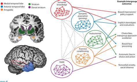 Figure 1 from The Social Neuroscience of Prejudice. | Semantic Scholar