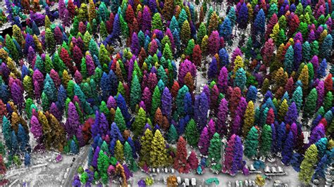 A Lidar’s-Eye View of How Forests Are Faring - Eos