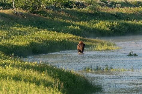 The Missouri River - WorldAtlas