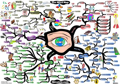 A Beginner's Guide on How to Make Mind Maps for Studying Better