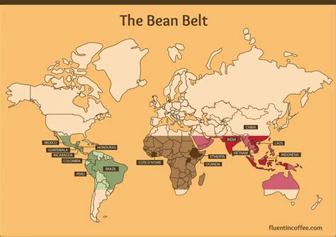 The World's Top 15 Coffee Producing Countries In 2024