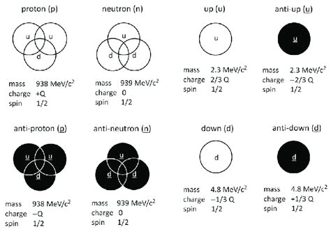 Quantum chromodynamics (QCD) representations of protons and neutrons... | Download Scientific ...