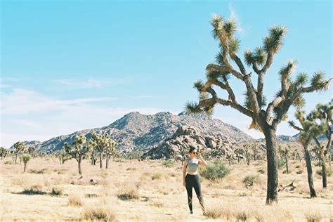 The Joshua Tree Guide: Best Places to Hike, Play, and Stay in Joshua Tree National Park