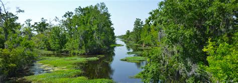 Exploring Cajun Country Louisiana