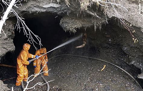 Scientists in fierce stand against bone hunters at mammoth graveyard