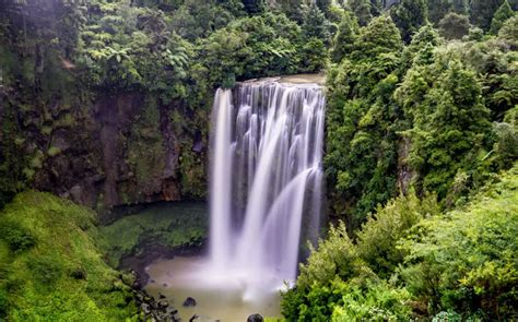 Discover the Breathtaking Waikato Waterfalls - WaikatoNZ