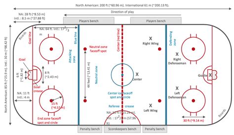 Basic rules of nhl hockey a visual guide – Artofit