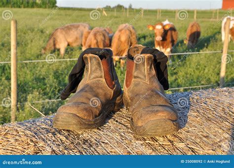 Farmers boots stock photo. Image of shoes, aging, landscape - 25008092