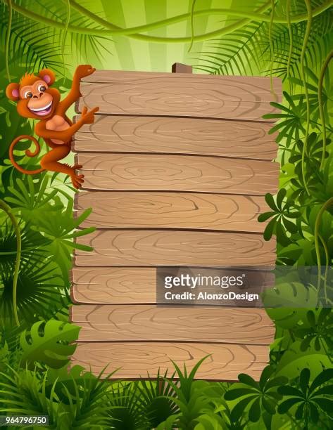 456 Monkey Border Stock Photos, High-Res Pictures, and Images - Getty ...