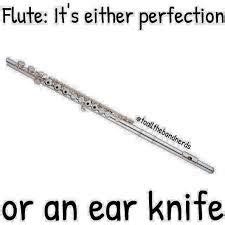 Flute Meme Friday Part IV – Rachel Taylor Geier