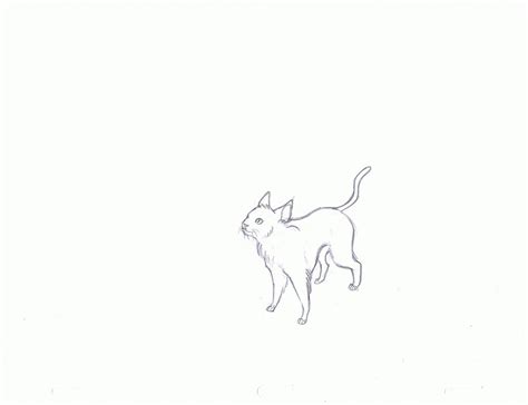 leaping cat pencil test by DracoPheonus on DeviantArt