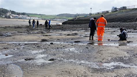 Appledore Citizen Science meeting - Time and Tide Bell