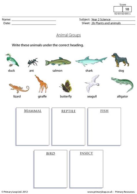 Movements Of Animals Worksheets For Grade 1