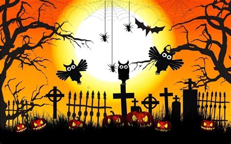 🔥 [50+] Halloween Owl Wallpapers | WallpaperSafari