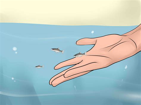 How to Bait and Use a Minnow Trap: 11 Steps (with Pictures)